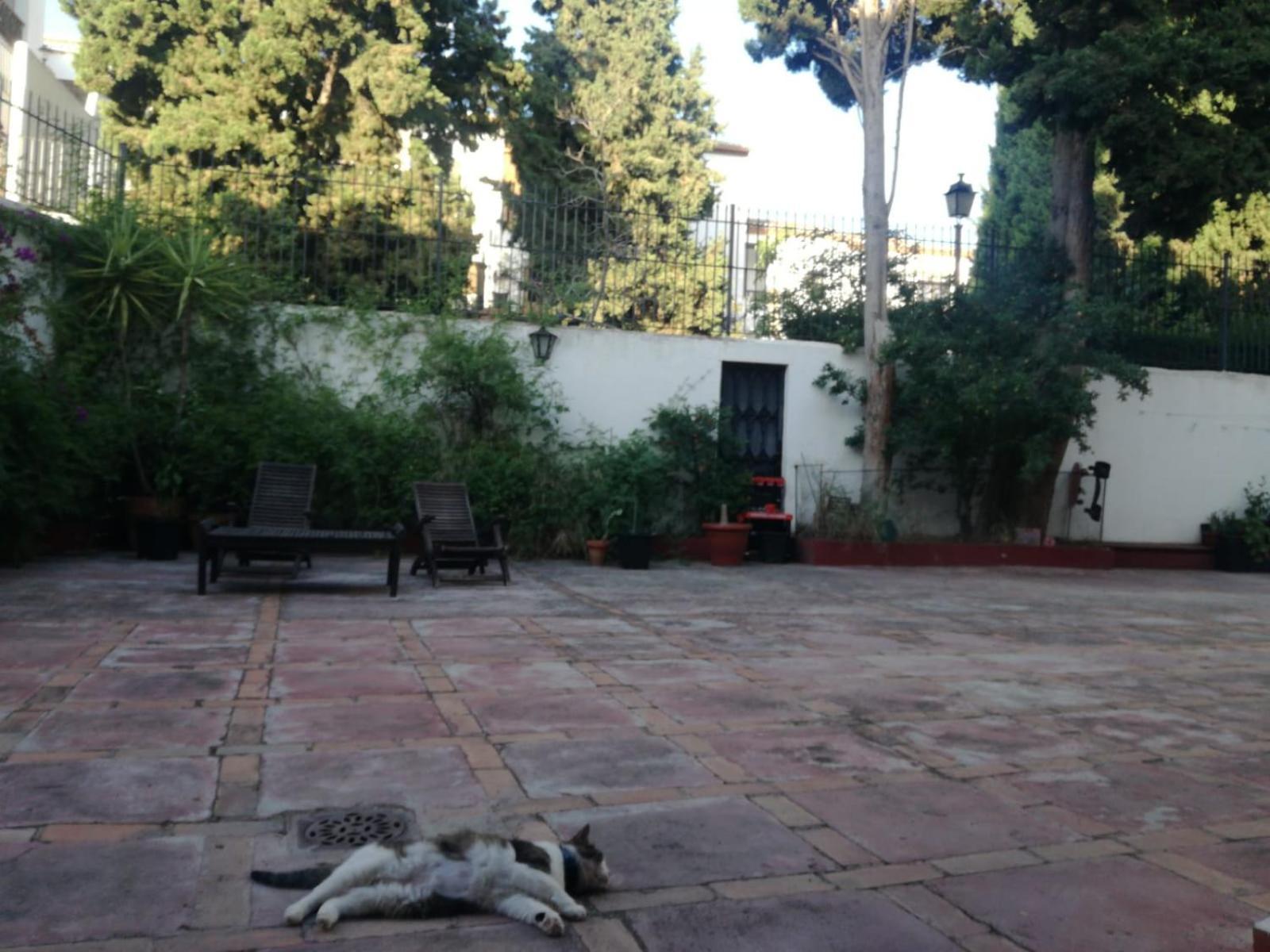 Casa Del Agua Apartment Granada Bagian luar foto